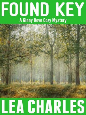 cover image of Found Key